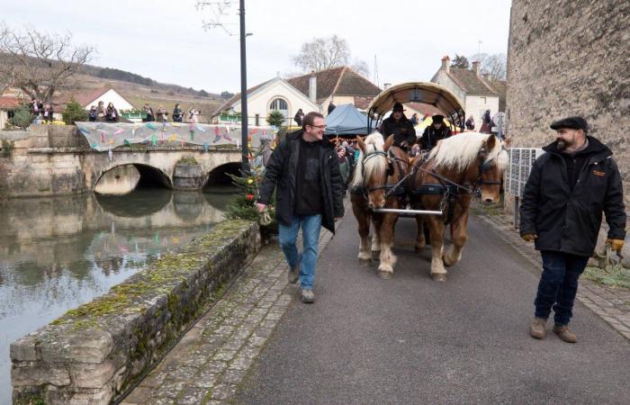 Burgundy: the Saint-Vincent rotating 2025, “much more than a folk event, a moment of sharing”