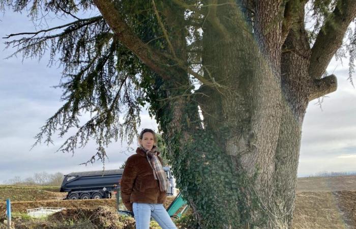 She saves a centenary cedar, threatened with being shot to pass the RN 21