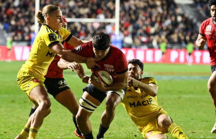 Top 14 – The notes of Toulon – La Rochelle: Esteban Abadie shone, Jack Nowell was wrong …