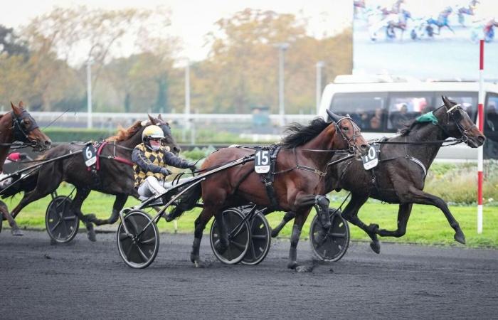 The 4 essential info of Reunion 1 of the Prix d'Amérique – Legend Race this Sunday, January 26