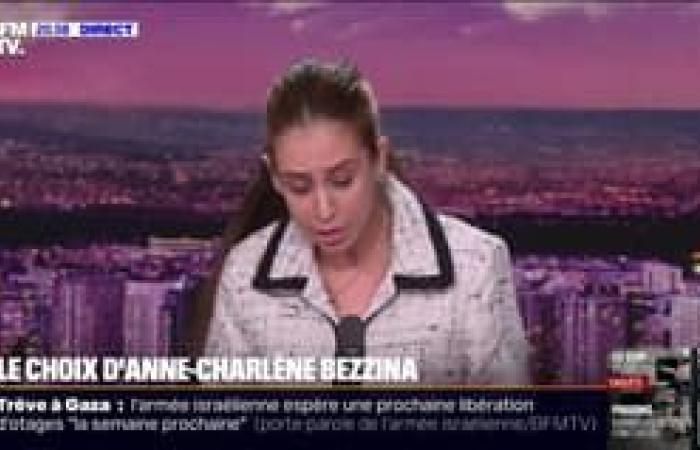 Amélie de Montchalin details the measures that the government wishes to adopt