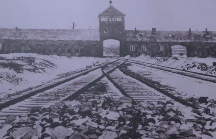 TESTIMONIALS. 80 years since the liberation of Auschwitz, the last survivors of the Shoah tell the unspeakable