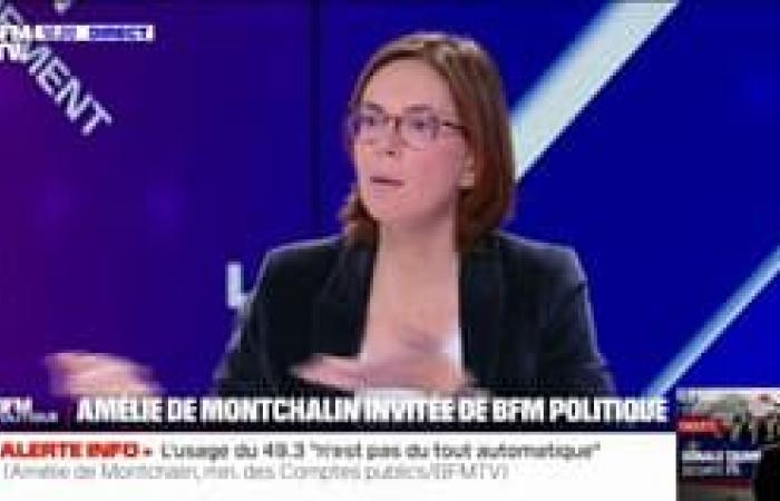 Amélie de Montchalin details the measures that the government wishes to adopt