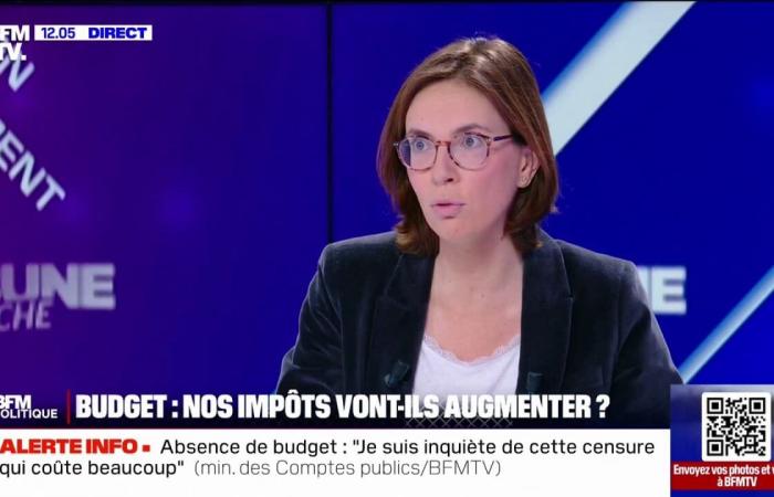 Amélie de Montchalin details the measures that the government wishes to adopt