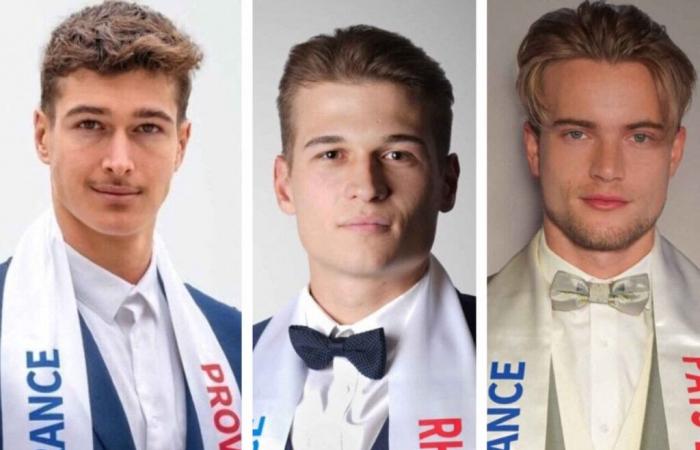 Mister France 2025: Discover who won the title of Plus HEMMARY IN THE Country – Actu.fr