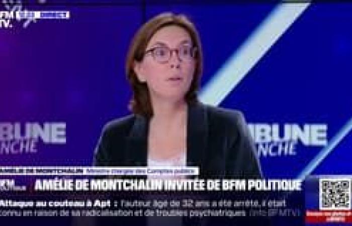 Amélie de Montchalin details the measures that the government wishes to adopt