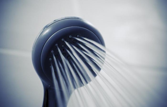 Should you take a shower every day? Harvard expert responds