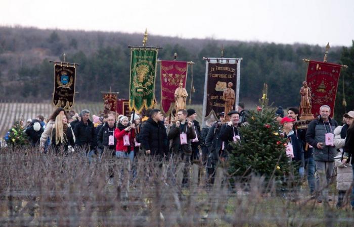 Burgundy: the Saint-Vincent rotating 2025, “much more than a folk event, a moment of sharing”