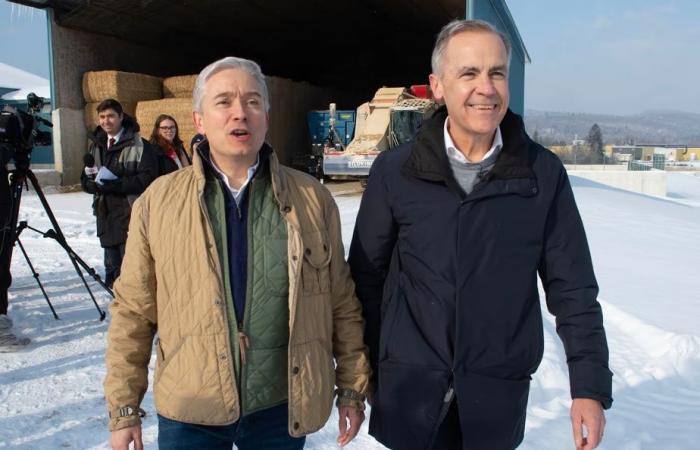 PLC management race | Mark Carney in seduction mode in Shawinigan