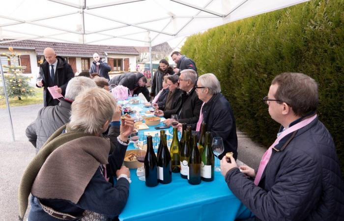 Burgundy: the Saint-Vincent rotating 2025, “much more than a folk event, a moment of sharing”