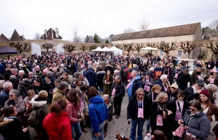 Burgundy: the Saint-Vincent rotating 2025, “much more than a folk event, a moment of sharing”