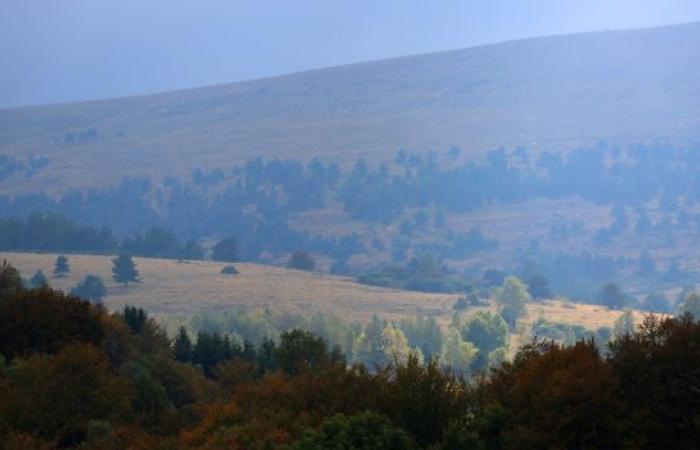 History imprints. Why does Lozère, sometimes a desert of turmoil, became a land in 1994 of attacks?