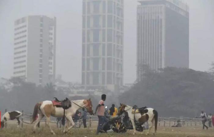 AQI worsens to ‘poor’ across Kol, Met expects warm spell till Sat