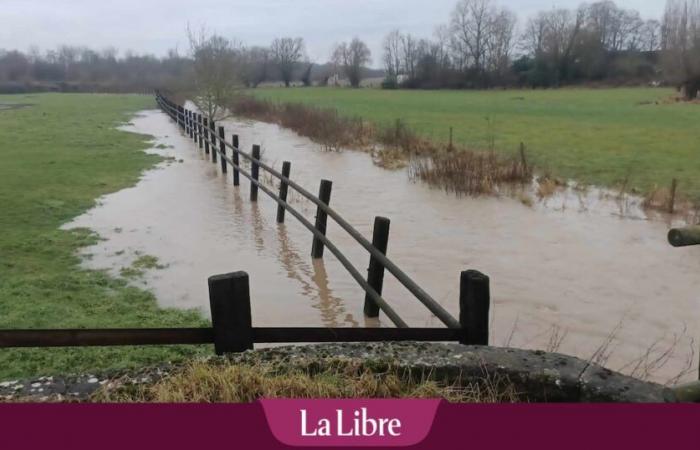 The Senne and the Dendre in flood alert phase on Saturday evening: “The greatest caution is therefore recommended around the rivers”