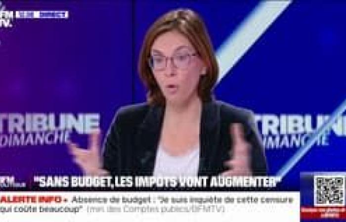 Amélie de Montchalin details the measures that the government wishes to adopt