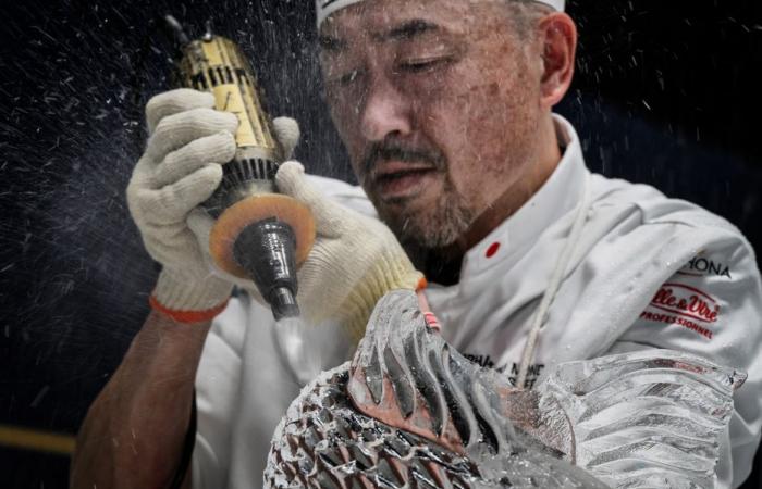 PICTURES. Japan crowned world pastry champion in Lyon