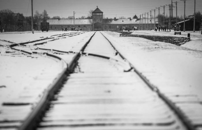 5 classics so as not to forget Auschwitz