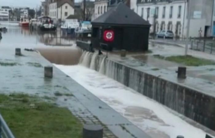 Storm Herminia: in Rennes, the flood of the Vilaine causes flooding and evacuations: News