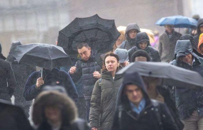 Météo-France places nine departments on orange alert for winds or floods or rain-flooding