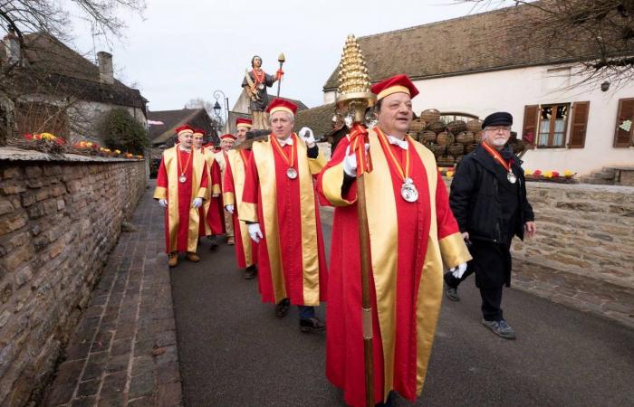 Burgundy: the Saint-Vincent rotating 2025, “much more than a folk event, a moment of sharing”