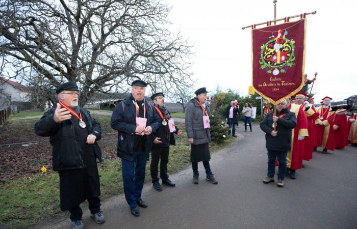 Burgundy: the Saint-Vincent rotating 2025, “much more than a folk event, a moment of sharing”