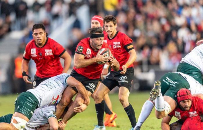 Top 14 – Toulon: a last XXL tour for boss Sinzelle