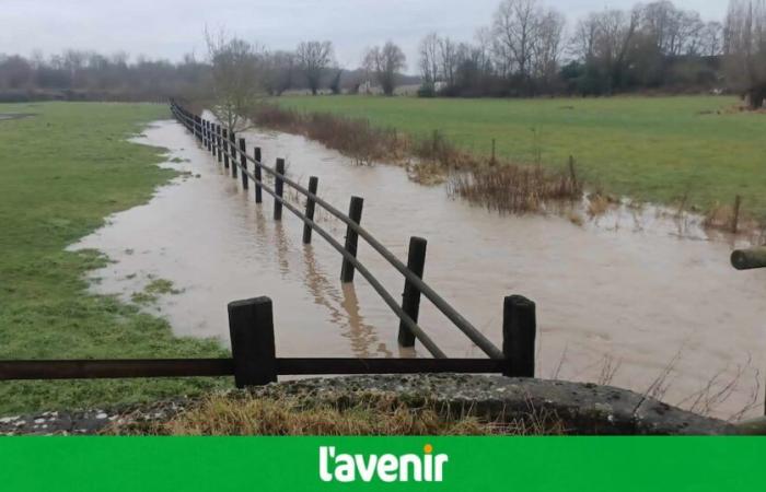 Floods: only the Dendre remains on flood alert, ten rivers on pre-alert