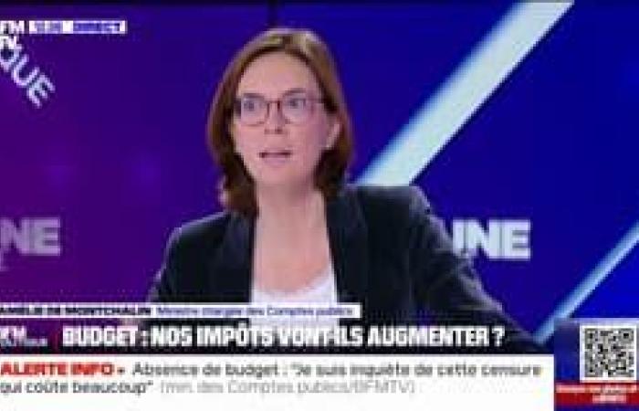 Amélie de Montchalin details the measures that the government wishes to adopt