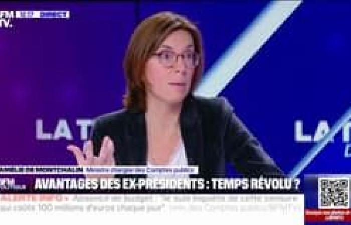 Amélie de Montchalin details the measures that the government wishes to adopt