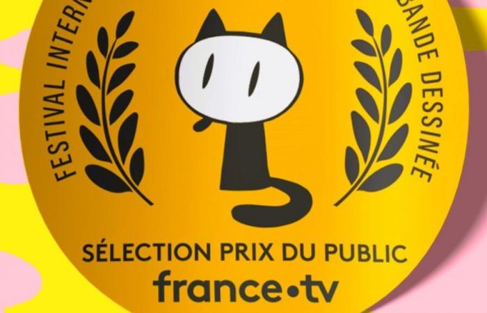 Why does the France Télévisions public price look like other prices?