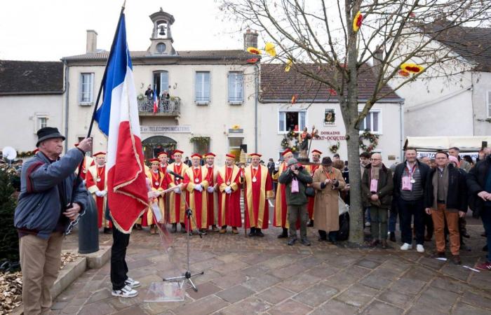 Burgundy: the Saint-Vincent rotating 2025, “much more than a folk event, a moment of sharing”