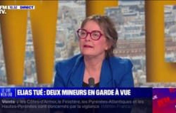 Amélie de Montchalin details the measures that the government wishes to adopt