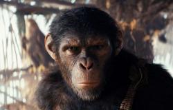 This sci-fi film is better than James Cameron’s Avatar 2! I saw Planet of the Apes 4 and it’s a tour de force