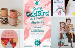Royal Bison Arts and Crafts Market gives way to Oddbird in Edmonton