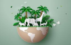World Endangered Species Day: May 11, 2024