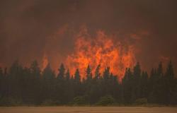 Ottawa focuses on humanitarian aid ahead of wildfire season | Forest fires in Canada
