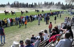 Vaucluse: A new day dedicated to horse well-being at the Carpentras racecourse