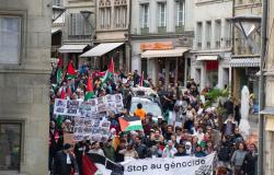 “Putting a face on a people”: The challenge of the Palestine-Fribourg Solidarity Collective