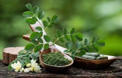 Moringa, your new anti-wrinkle ally with multiple benefits