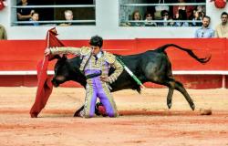 Three ears and applause for the young talents of the novillada of the Alès feria