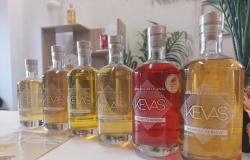 Seine-et-Marne: lovers of mixed rums, discover the Kevas distillery for a day