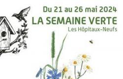 Environmental fair at Les Hopitaux Neufs