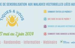 Lyme disease – Ticks and you week at the CHI of Villeneuve-Saint-Georges