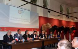 an international union for the defense of bullfighting has been created