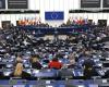9 MEPs answer your questions from the European Parliament