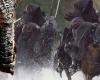 this secret about the Nazgul in Peter Jackson’s films