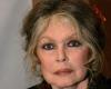 “He was my shadow and my light”: “devastated with grief”, Brigitte Bardot announces very sad news