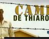SENEGAL-AFRICA-FRANCE-CINEMA / Cannes Festival: ”Camp de Thiaroye” selected in the ”Cannes classics” selection – Senegalese press agency