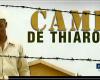 Cannes Film Festival: ”Camp de Thiaroye” selected in the ”Cannes classics” selection