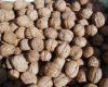 Nut Recall as Urgent E. Coli Warning Issued